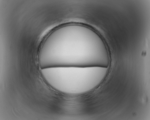 X0000114131271200910080953