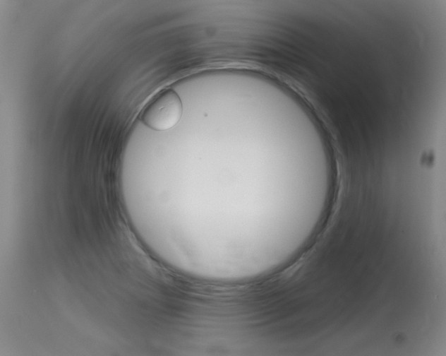 X0000114131273200910080953
