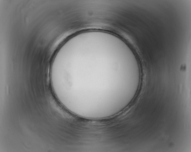 X0000114131275200910080953