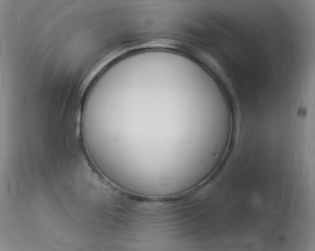 X0000114131276200910080953