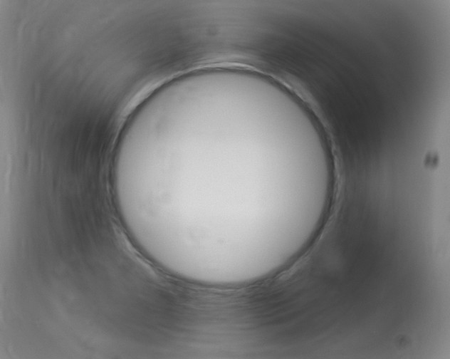 X0000114131277200910080953