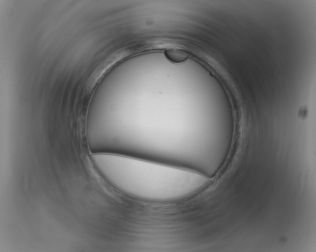 X0000114131281200910080953