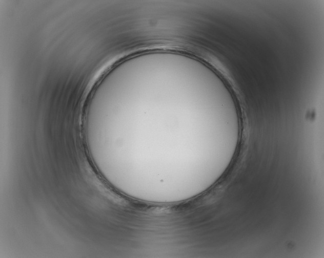 X0000114131283200910080953