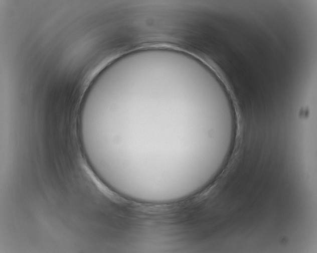 X0000114131285200910080953