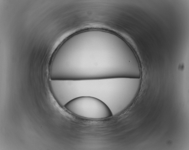 X0000114131287200910080953