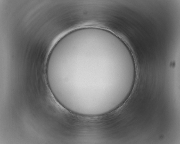 X0000114131288200910080953