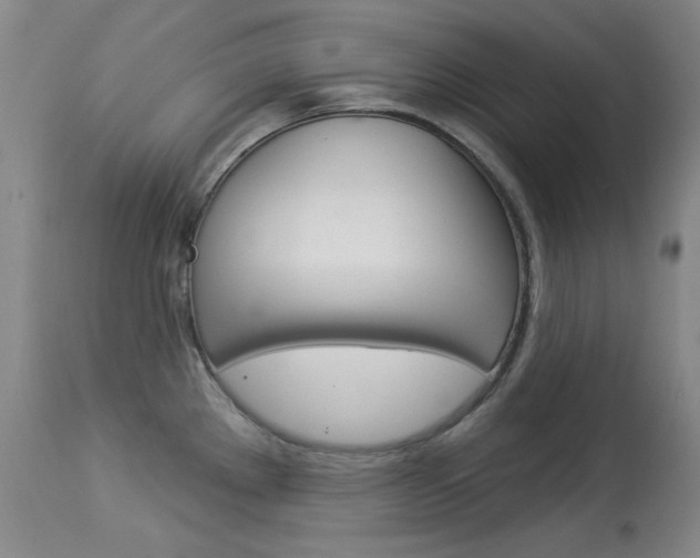 X0000114131289200910080953