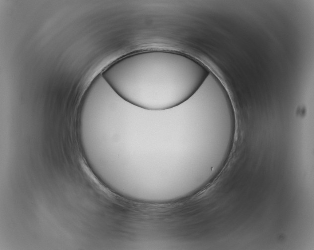 X0000114131293200910080953