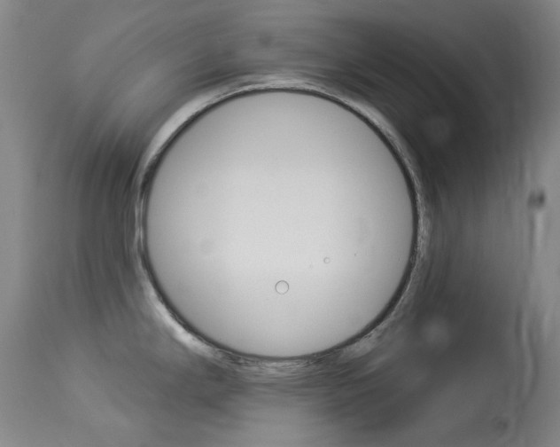 X0000114131294200910080953