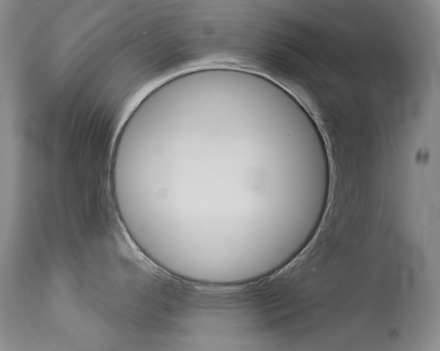 X0000114131296200910080953
