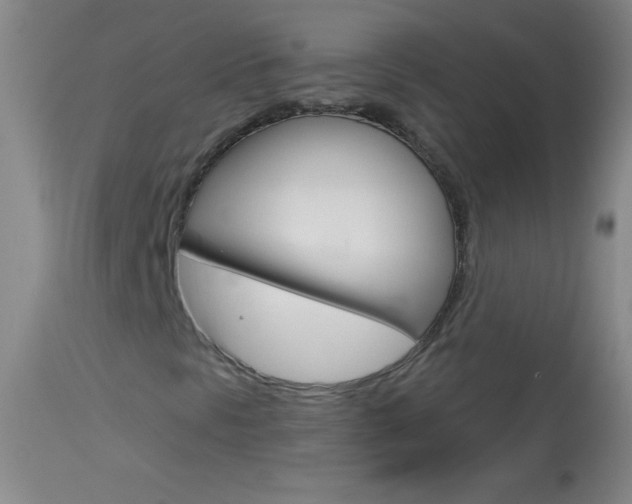 X0000114131297200910080952