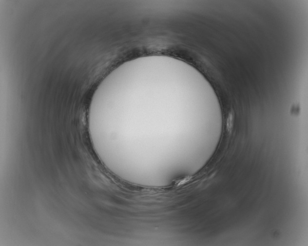 X0000114131299200910080952