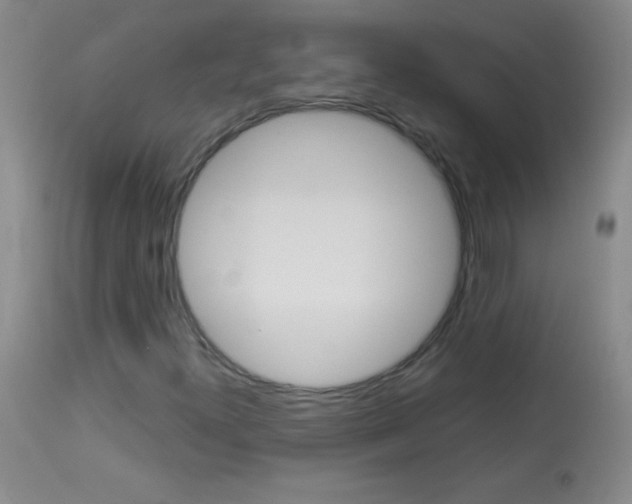 X0000114131300200910080952