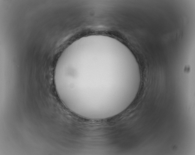 X0000114131301200910080952