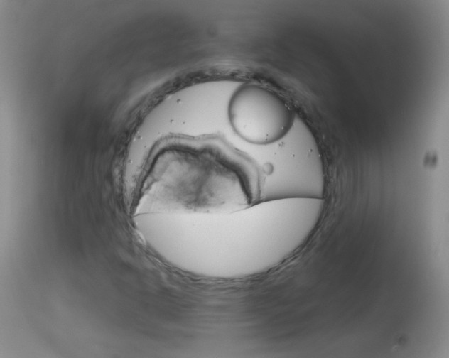 X0000114131302200910080952
