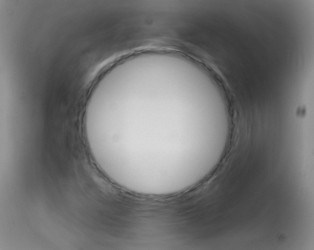 X0000114131304200910080952