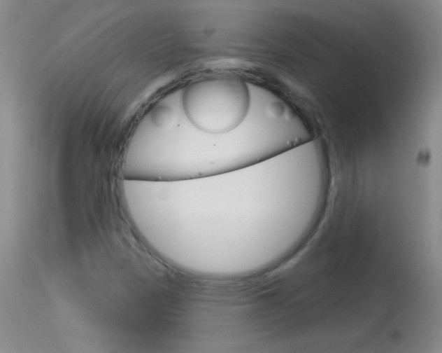 X0000114131305200910080952