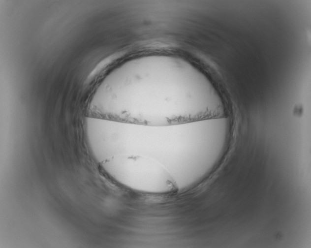 X0000114131306200910080952