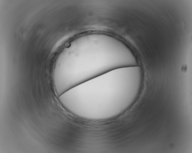 X0000114131307200910080952