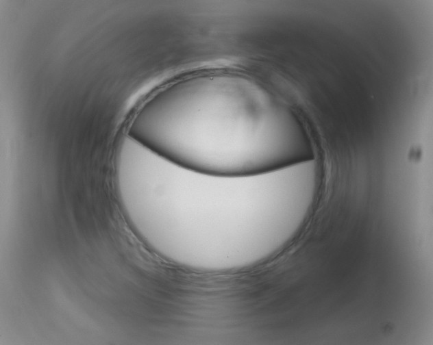 X0000114131308200910080952