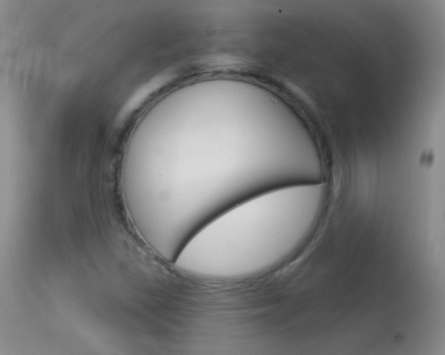 X0000114131309200910080952