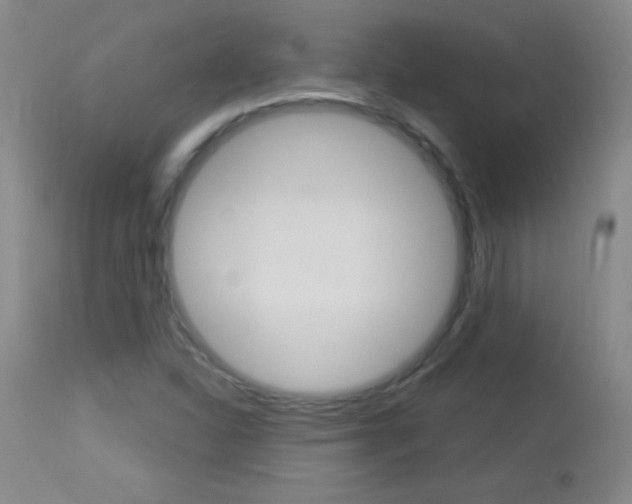 X0000114131310200910080952