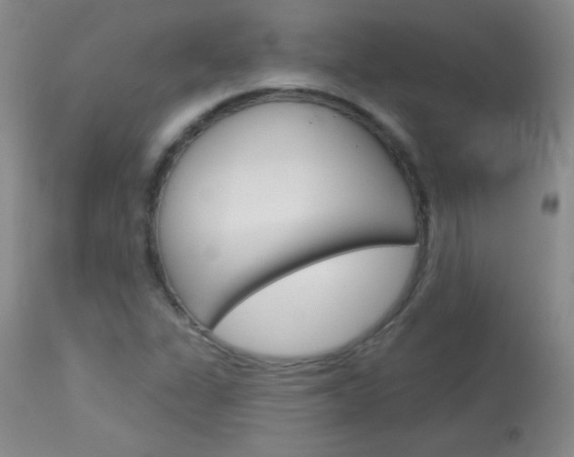 X0000114131311200910080952