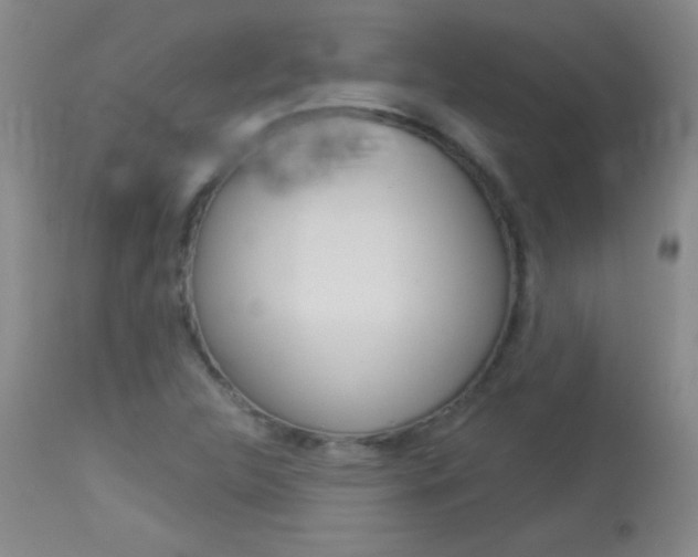 X0000114131312200910080952