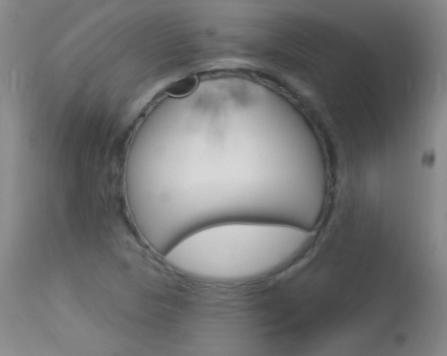 X0000114131313200910080952