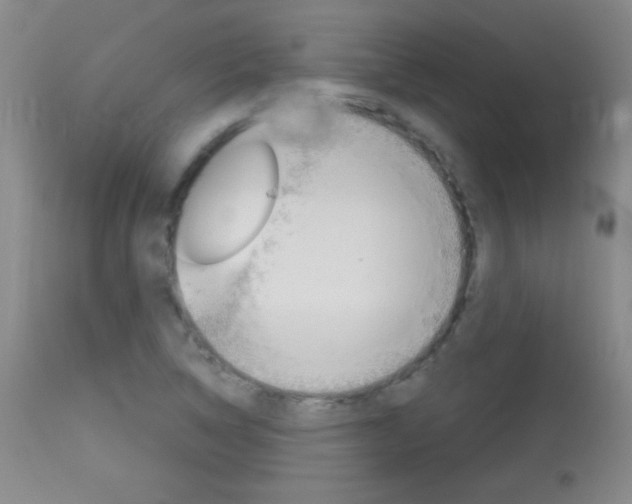 X0000114131314200910080952