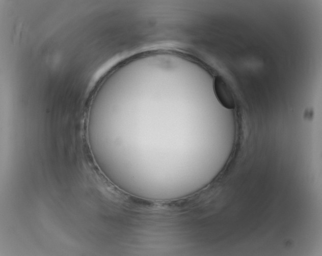 X0000114131316200910080953