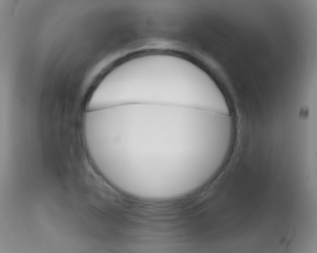 X0000114131318200910080953