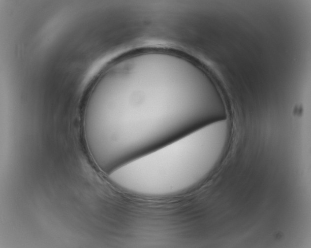 X0000114131319200910080953