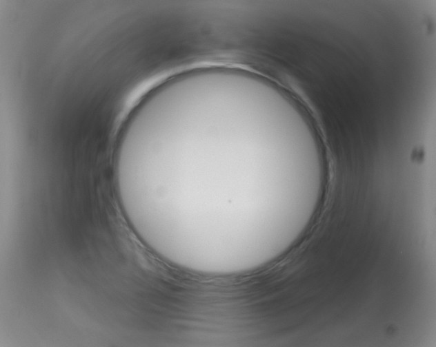X0000114131320200910080953