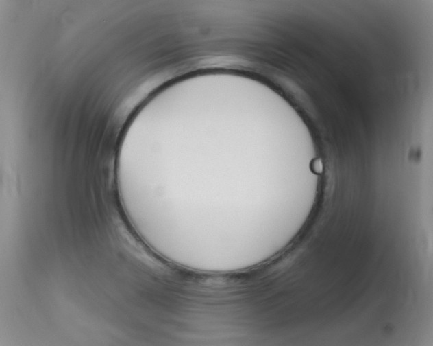 X0000114131322200910080953