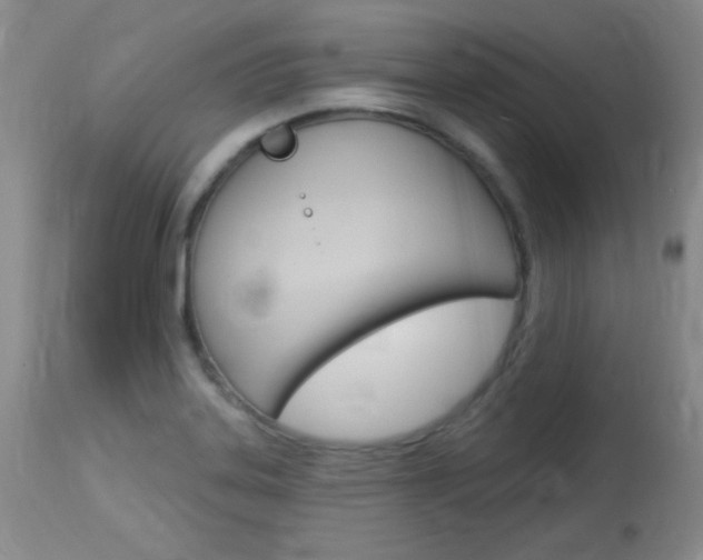 X0000114131323200910080953