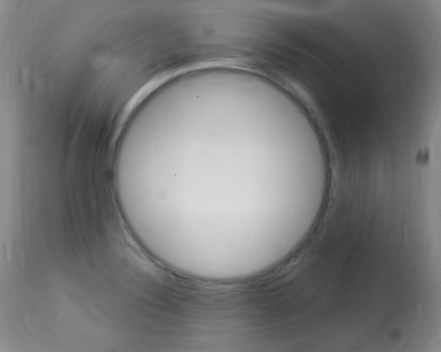 X0000114131324200910080953
