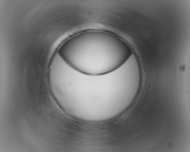 X0000114131326200910080953