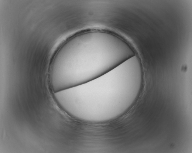 X0000114131327200910080953