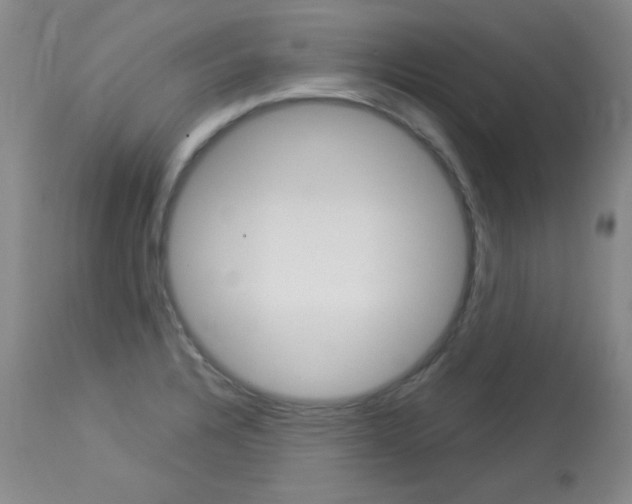 X0000114131328200910080953
