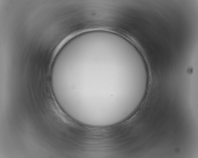 X0000114131332200910080953