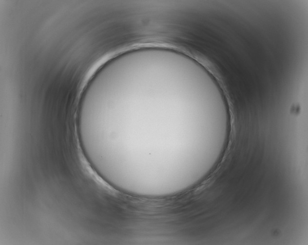 X0000114131334200910080953