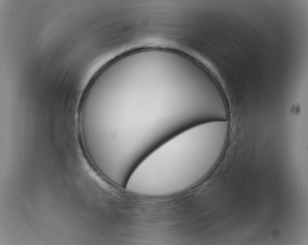 X0000114131335200910080953