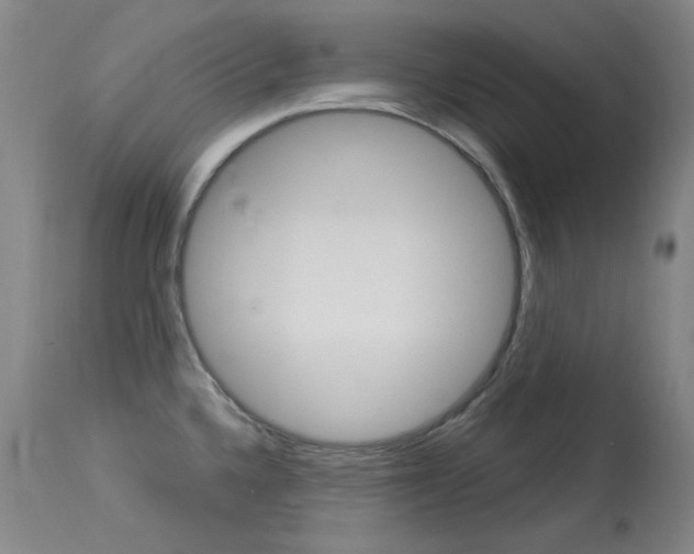 X0000114131336200910080953