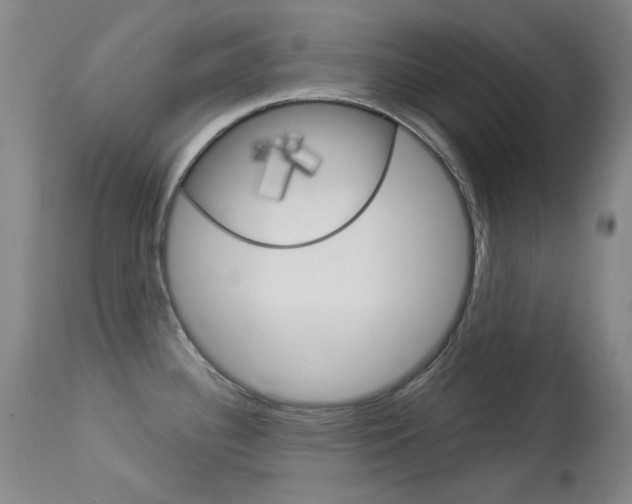 X0000114131340200910080953