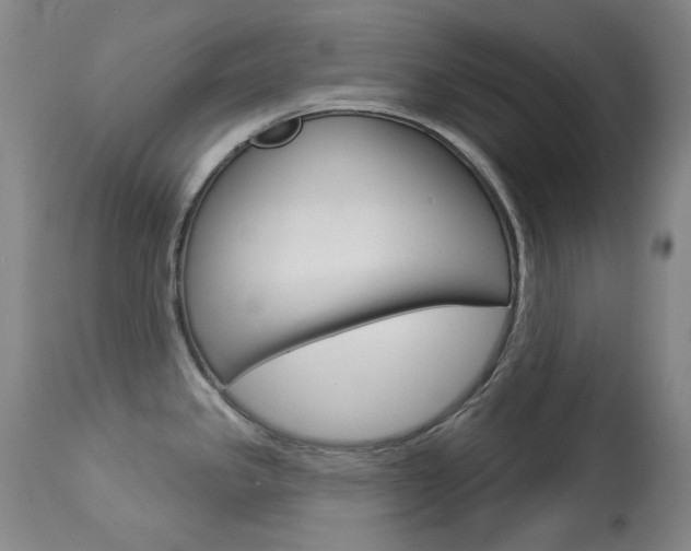 X0000114131341200910080953