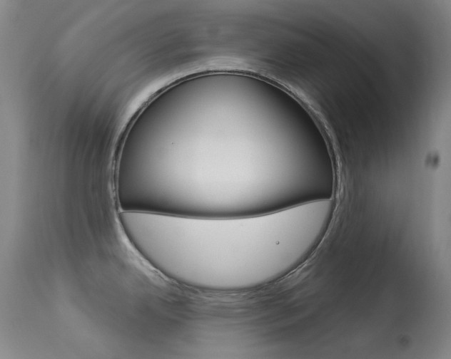X0000114131342200910080953