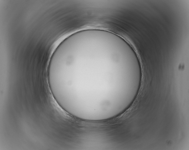 X0000114131344200910080953