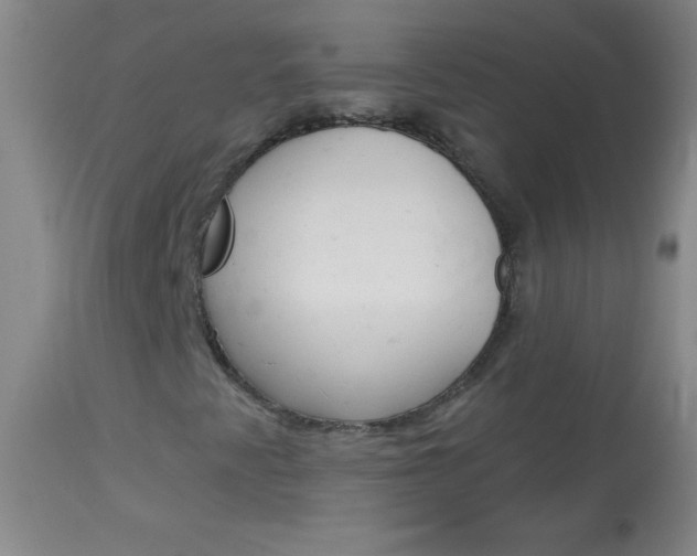 X0000114131345200910080952