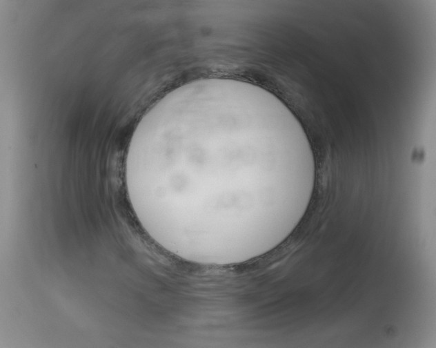X0000114131346200910080952
